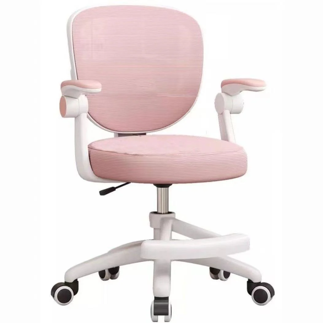 Ergonomic Study & Work Chair with Breathable Mesh Support